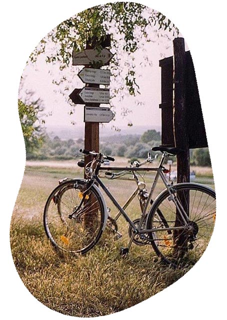 coaching_masquecoaching_mqc_bicicleta_camino